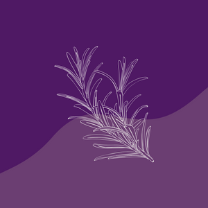 Dried Herbs