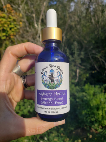 Lymph Mover Synergy Blend Tincture (Alcohol-Free)