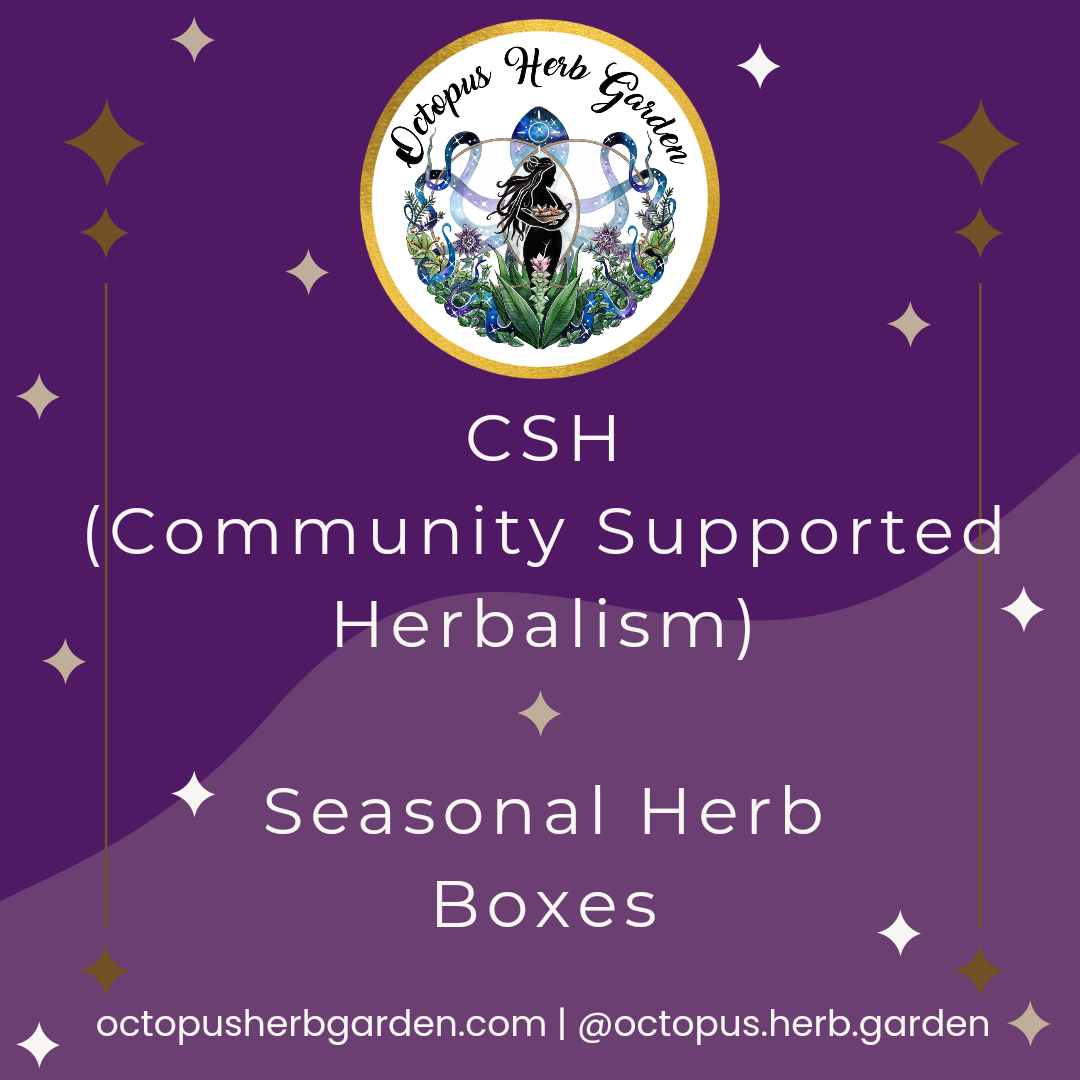 CSH - Seasonal Herb Boxes