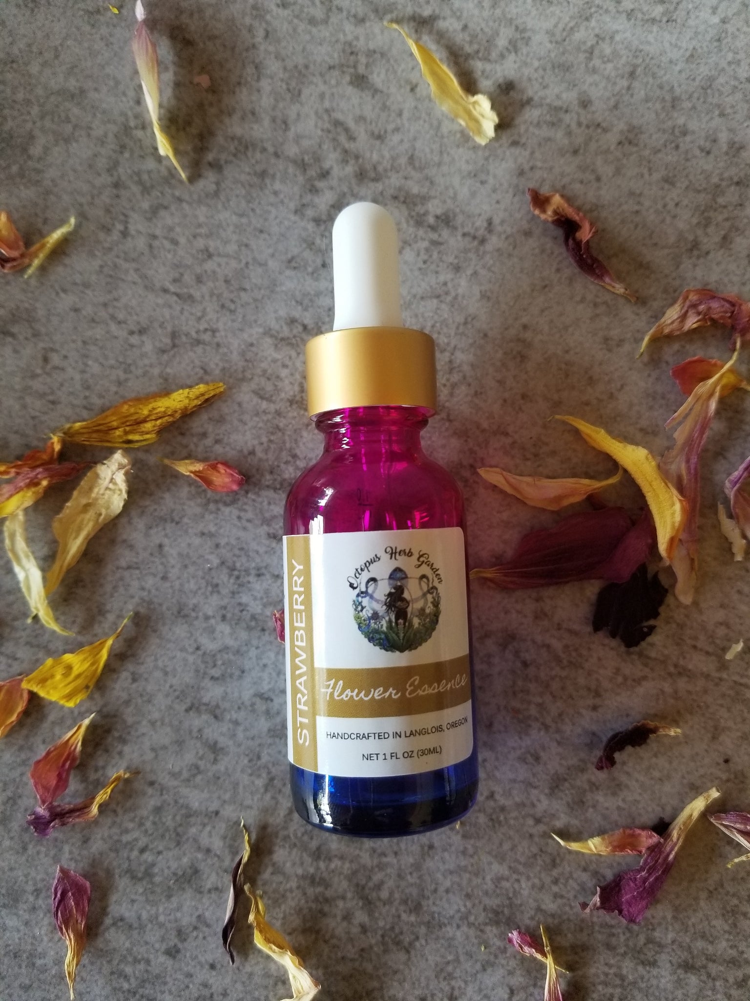 Violet Flower Essence Recipe Best Flower Site